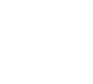 TVS Supply Chain Solutions